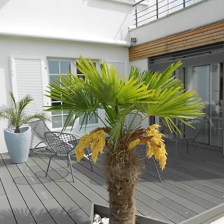 Au Coeur Du Vignoble Bed & Breakfast Orschwiller